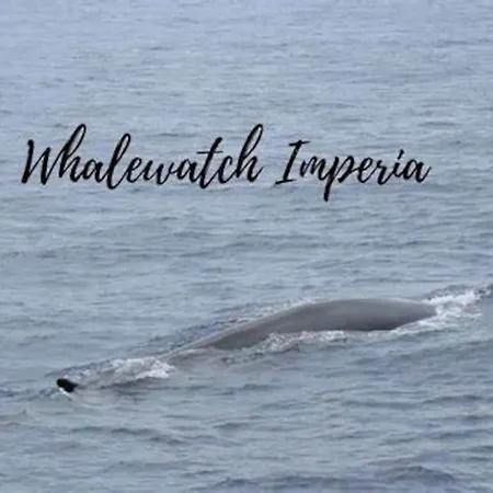La Tuga Stile Marinaro Sul Mare *